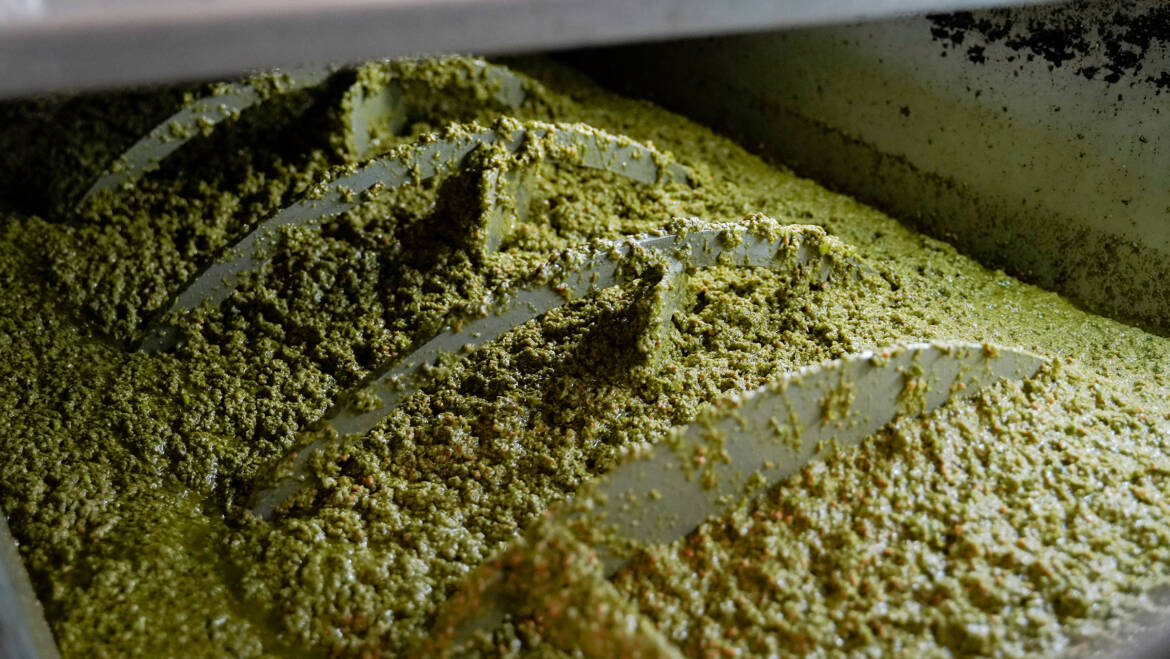 Molitura